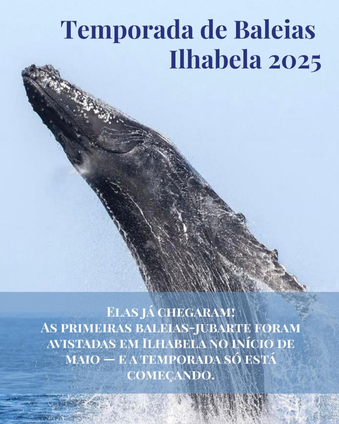 Vila Bambu Ilhabela, Santa Tereza Zewnętrze zdjęcie